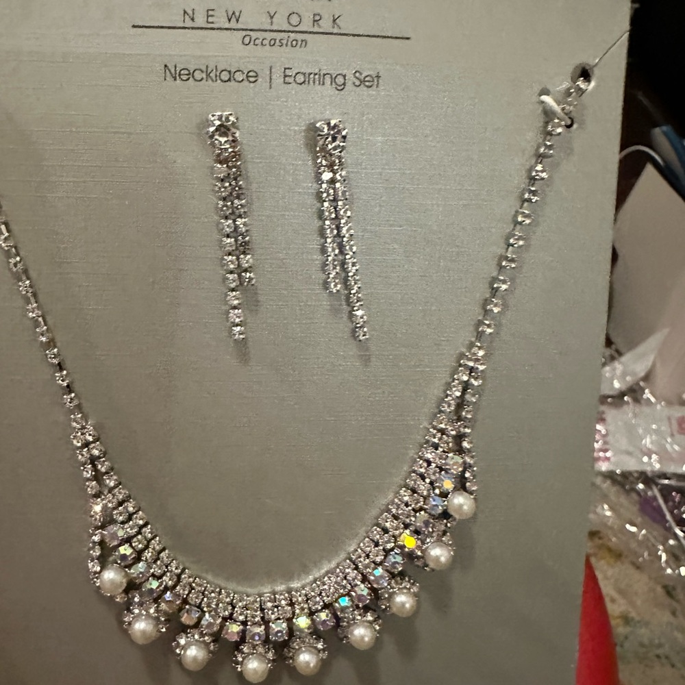 NWT Silver Necklace and Earring Set